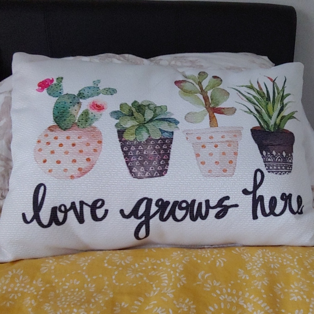 🎉2 for $15🎉 Love Grows Here Accent Pillow